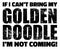 If I can`t bring my Goldendoodle