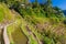 Ifugao rice terraces on Luzon island, Philippin