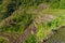 Ifugao rice terraces on Luzon island, Philippin