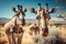 iful wildlifeImmerse Yourself in a Stunningly Realistic Safari Adventure with Majestic Giraffes and Rhinos