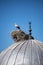 Igdir, stork, nest, egg, dome, mosque, minaret, islam, bird, birdwatching, Turkey, Middle East, landscape, aerial view