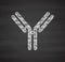 IgG antibody (immunoglobulin). Many biotech drugs are antibodies