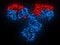 IgG2a monoclonal antibody (immunoglobulin). Many biotech drugs are antibodies. Molecular surface model. Heavy chains colored blue
