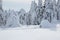 Igloo covered by snow stands on the lawn. Winter scenery in the sunny day. Snowy background