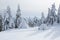 Igloo covered by snow stands on the lawn. Winter scenery in the sunny day. Snowy background