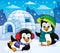 Igloo with penguins theme 5