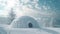 An igloo sits on a snowy field under the cloudy sky