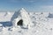 Igloo standing on a snowy glade