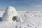 Igloo standing on a snowy glade