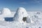 Igloo standing on a snowy glade