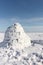 Igloo standing on a snowy glade