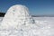 Igloo standing on a snowy glade