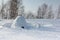 Igloo standing on a snowy glade