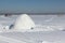 Igloo standing on a snowy glade