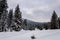 Igman mountain in the winter