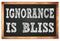 IGNORANCE IS BLISS words on black wooden frame school blackboard