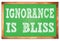 IGNORANCE IS BLISS words on green wooden frame school blackboard
