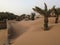 The Igrane garden near Merzouga, an agricultural oasis, slowly being blown by the desert sand