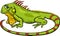 Iguana animal cartoon illustration