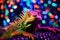 iguana basking under multicolored party lights