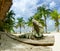 Iguana on The Caribbean Beach