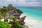 Iguana on the cliff of Tulum