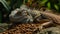 An iguana laying on top of a pile of food, AI