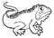 Iguana Lizard Cartoon Character