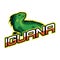 Iguana mascot logo for your business, vector illustration