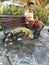 Iguana on Park Bench, Ecuador