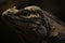 Iguana skin shedding head portrait