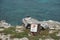 Iguana sunbathing on the rock, Punta Sur, Isla Mujeres, Mexico