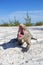 Iguana on white sand beach in Cayo Largo.