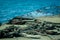 Iguanas sunbathing in floreana island galpagos