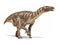 Iguanodon dinosaur isolated on white background