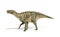 Iguanodon Dinosaur photorealistic representation, side view.