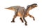 Iguanodon , Dinosaur on white background