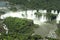 Iguazu Falls, Waterfall and Rainforest