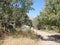 Ihlar Canyon. Cappadocia. Turkey. Landscapes of untouched nature near a rapid river in the depths of the canyon.