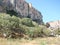 Ihlar Canyon. Cappadocia. Turkey. Landscapes of untouched nature near a rapid river in the depths of the canyon.