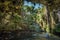 Ik Kil cenote, Yucatan popular landmark, Mexico