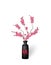 Ikebana. Composition. Figure branches Sakura flower. On a white background with shadow. illustration