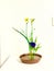 Ikebana interior designers arrangements of plants