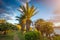 Il-Mellieha, Malta - Beautiful palm trees and flowers at sunset with amazing sky and clouds and Mellieha town at background