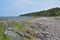 Ile aux lievres. St-Lawrence river shoreline at low tide