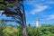 Ile de Re lighthouse Phare des Baleines