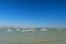 Ile de RÃ© - boats in harbor of Loix