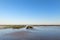 Ile de RÃ© oyster banks in the sea