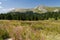 Ilgaz Mountains, Kastamonu, Turkey