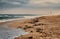 Ilha Deserta in the National Park Ria Formosa